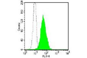 Flow Cytometry (FACS) image for anti-Membrane Metallo-Endopeptidase (MME) antibody (FITC) (ABIN2144486) (MME Antikörper  (FITC))