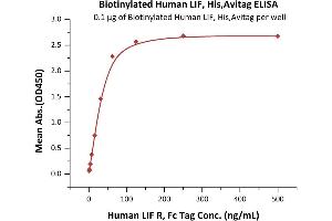 Immobilized Biotinylated Human LIF, His,Avitag (ABIN5954922,ABIN6253549) on SA-coated surface at 1 μg/mL (100 μL/well) can bind Human LIF R, Fc Tag (ABIN2444162,ABIN2181467) with a linear range of 1-31 ng/mL (QC tested).