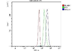 Flow Cytometry analysis of Jurkat cells using anti-RAB7/RAB7A antibody (ABIN7600597).