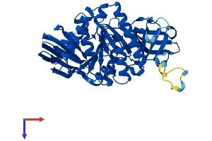 CLP1 Protein (AA 1-425) (His tag)