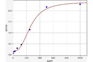 Typical standard curve