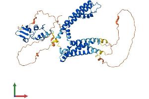 Protein Structure (PS) image for Potassium Voltage-Gated Channel, Shaker-Related Subfamily, Member 6 (KCNA6) (AA 1-529) protein (His tag) (ABIN7554295)