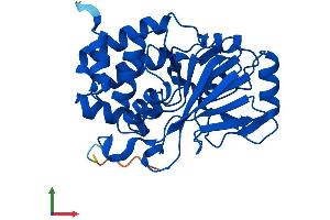 Protein Structure (PS) image for Protein Phosphatase 6, Catalytic Subunit (PPP6C) (AA 1-305) protein (His tag) (ABIN7560568)