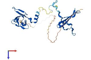 PRKAB2 Protein (AA 1-272) (His tag)