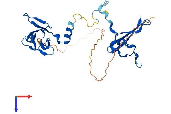 PRKAB2 Protein (AA 1-272) (His tag)