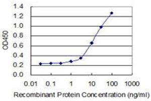 Detection limit for recombinant GST tagged CRH is 0. (CRH Antikörper  (AA 154-196))