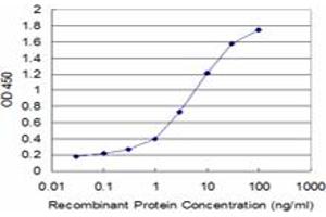 Detection limit for recombinant GST tagged SMAD7 is approximately 0. (SMAD7 Antikörper  (AA 160-260))