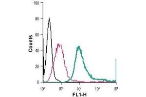 Cell surface detection of NK1R in live intact mouse J774 macrophage cells: (black line) Cells. (TACR1 Antikörper  (2nd Extracellular Loop) (FITC))