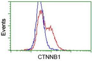 Image no. 3 for anti-Catenin (Cadherin-Associated Protein), beta 1, 88kDa (CTNNB1) antibody (ABIN1496895) (CTNNB1 Antikörper)