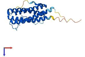 CNTF Protein (AA 1-198) (His tag)