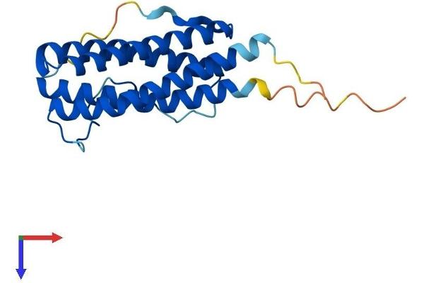 CNTF Protein (AA 1-198) (His tag)