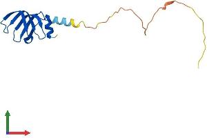 Protein Structure (PS) image for LSM4 Homolog, U6 Small Nuclear RNA Associated (LSM4) (AA 1-137) protein (His tag) (ABIN7561740)