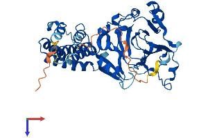 JMJD5 Protein (AA 1-414) (His tag)