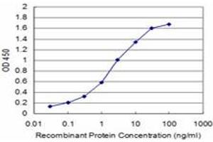 Detection limit for recombinant GST tagged TAOK3 is approximately 0. (TAO Kinase 3 Antikörper  (AA 809-898))