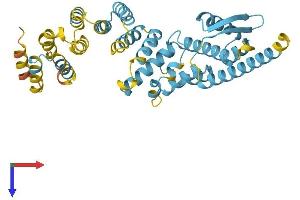 PSMD13 Protein (AA 1-376) (His tag)
