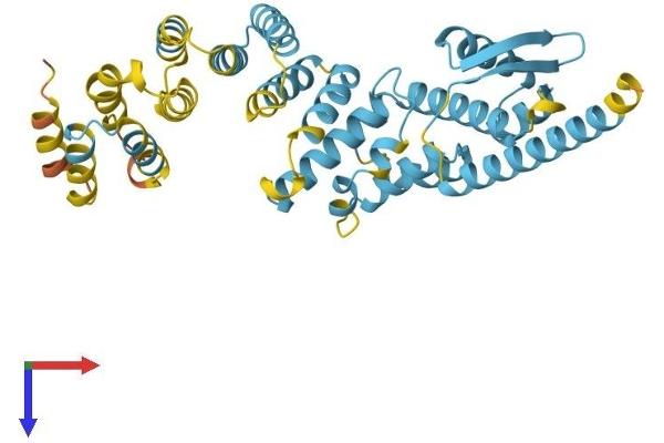 PSMD13 Protein (AA 1-376) (His tag)