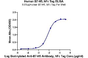 Immobilized Human B7-H5, hFc Tag at 0. (VTCN1 Protein (AA 33-194) (Fc Tag))