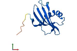 AlphaFold protein structure predicition of Mouse Recombinant Stfa3 Protein, UniprotID P35173