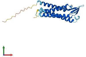 Protein Structure (PS) image for Transmembrane Protein 37 (TMEM37) (AA 1-190) protein (His tag) (ABIN7553148)