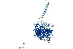 Protein Structure (PS) image for Fukutin Related Protein (FKRP) (AA 1-494) protein (His tag) (ABIN7559318)