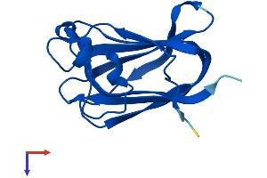 NR2C2AP Protein (AA 1-140) (His tag)