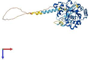 ST3GAL5 Protein (AA 1-414) (His tag)