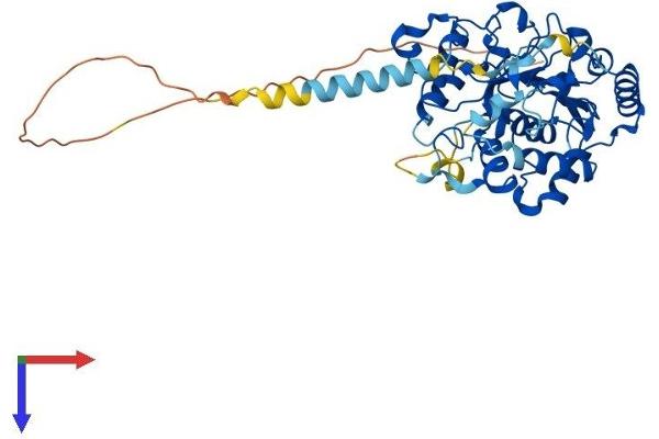 ST3GAL5 Protein (AA 1-414) (His tag)