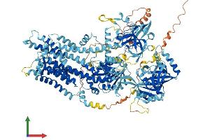 Protein Structure (PS) image for ATPase, Class I, Type 8B, Member 1 (ATP8B1) (AA 1-1251) protein (His tag) (ABIN7563630)