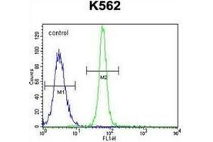 Flow Cytometry (FACS) image for anti-Leucine-Rich Repeat, Immunoglobulin-Like and Transmembrane Domains 1 (LRIT1) (AA 601-623), (C-Term) antibody (ABIN953207)