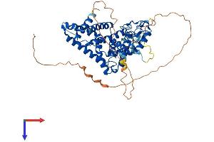 NR6A1 Protein (AA 1-495) (His tag)