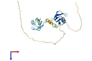 HNRNPAB Protein (AA 1-285) (His tag)