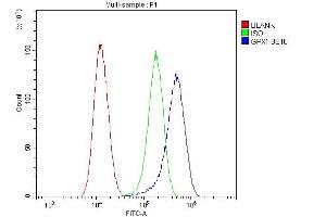 Flow Cytometry analysis of U87 cells using anti- GPX1 antibody (ABIN6719520). (Glutathione Peroxidase 1 Antikörper  (Middle Region))