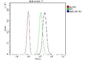 Flow Cytometry analysis of PC-3 cells using anti-MAG antibody (ABIN7601398). (MAG Antikörper  (AA 34-605))
