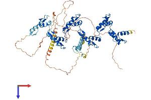 ZFP37 Protein (AA 1-630) (His tag)