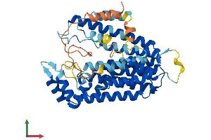 Protein Structure (PS) image for Prenyl (Decaprenyl) Diphosphate Synthase, Subunit 2 (PDSS2) (AA 1-401) protein (His tag) (ABIN7557030)