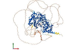 Protein Structure (PS) image for PARG (PARG) (AA 1-976) protein (His tag) (ABIN7554892)