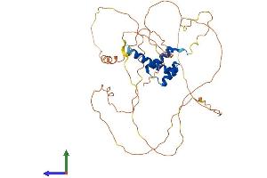 Protein Structure (PS) image for Homeobox A13 (HOXA13) (AA 1-386) protein (His tag) (ABIN7557791)