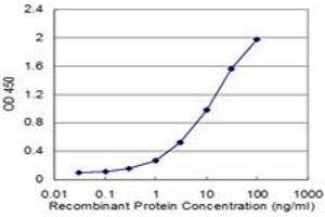 Detection limit for recombinant GST tagged CEACAM1 is approximately 0. (CEACAM1 Antikörper  (AA 305-414))