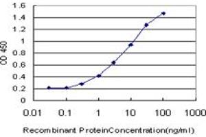 Detection limit for recombinant GST tagged HSPBAP1 is approximately 0. (HSPBAP1 Antikörper  (AA 1-488))
