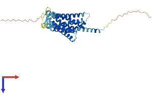MRGPRX3 Protein (AA 1-322) (His tag)