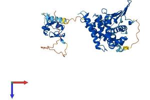 NR1I2 Protein (AA 1-434) (His tag)
