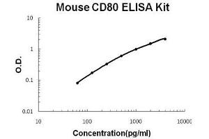 Mouse B7-1/CD80 PicoKine ELISA Kit standard curve (CD80 ELISA Kit)