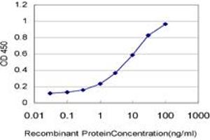 ELISA image for anti-Casein Kinase 1, gamma 1 (CSNK1G1) (AA 293-393) antibody (ABIN599256) (CSNK1G1 Antikörper  (AA 293-393))