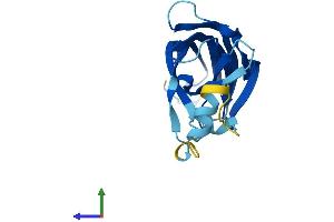 Protein Structure (PS) image for B9 Protein Domain 2 (B9D2) (AA 1-175) protein (His tag) (ABIN7557214)