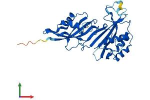 Protein Structure (PS) image for Pseudouridylate Synthase-Like 1 (PUSL1) (AA 1-291) protein (His tag) (ABIN7561894)