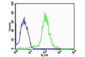 Flow cytometric analysis of MCF-7 cells using TUBA6 antibody (green) compared to an isotype control of rabbit IgG (blue); Ab was diluted at 1:25 dilution. (TUBA1C Antikörper  (N-Term))