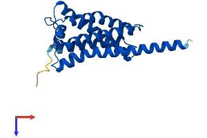 AlphaFold protein structure predicition of Mouse Recombinant Ebpl Protein, UniprotID Q9D0P0 (EBPL Protein (AA 1-206) (His tag))