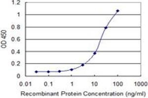 ELISA image for anti-TAF12 RNA Polymerase II, TATA Box Binding Protein (TBP)-Associated Factor, 20kDa (TAF12) (AA 1-161) antibody (ABIN520683)