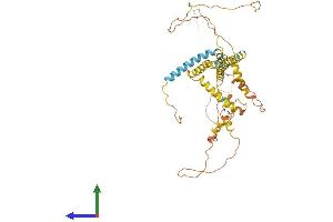 Protein Structure (PS) image for Reticulon 2 (RTN2) (AA 1-471) protein (His tag) (ABIN7562585)
