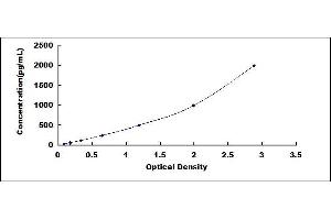 Typical standard curve (CCL2 ELISA Kit)